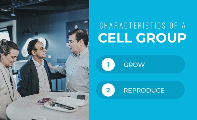 Characteristics of a cell group
