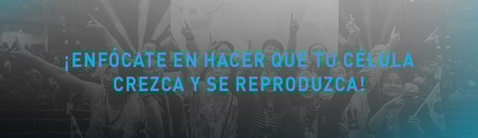 Enfócate en hacer que tu célula crezca y se reproduzca