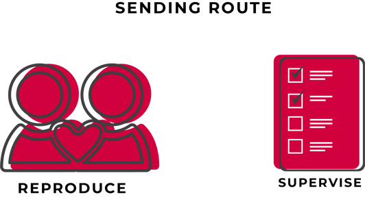 sending route